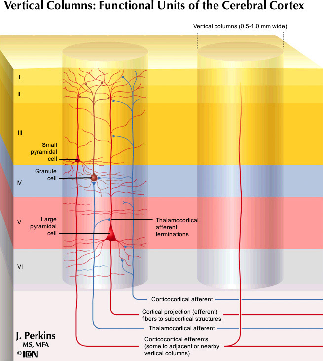 %_tempFileNameFigureII.91_l%