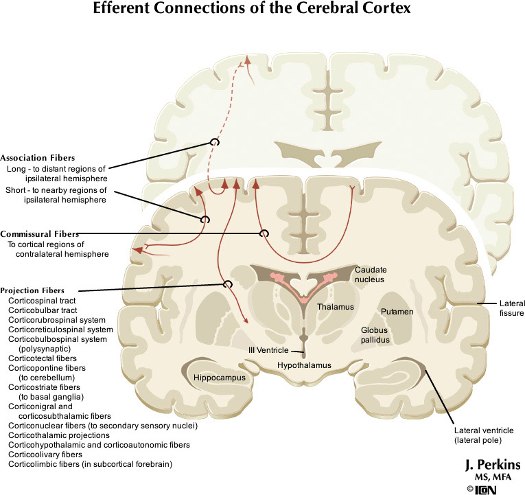 %_tempFileNameFigureII.92_l%