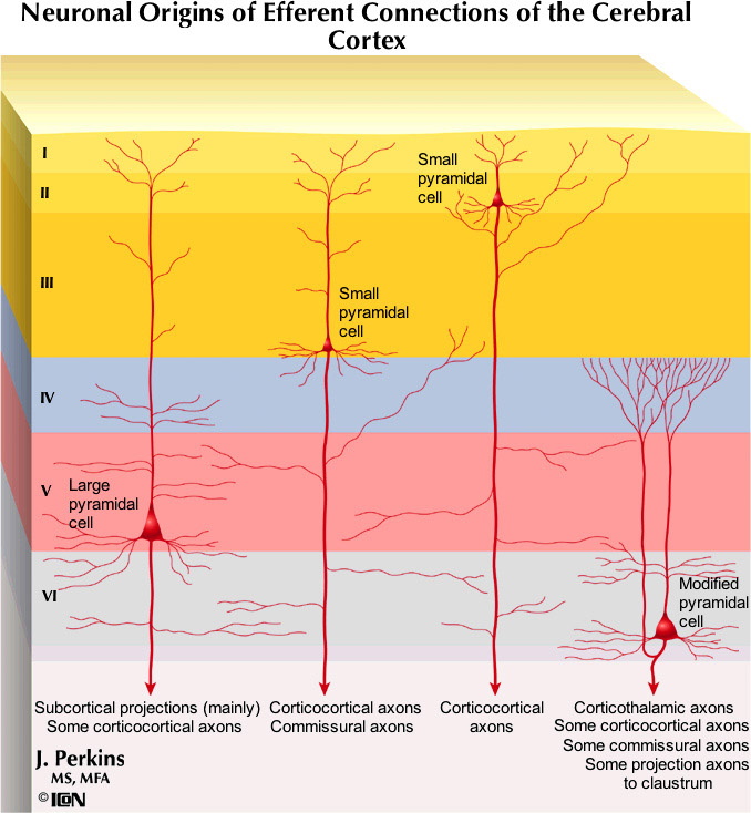 %_tempFileNameFigureII.93_l%
