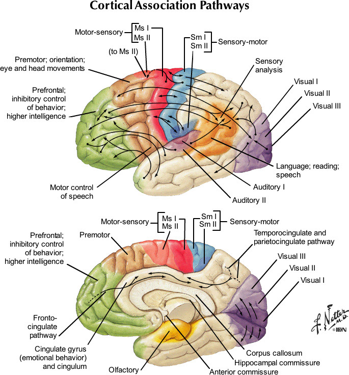 %_tempFileNameFigureII.94_l%