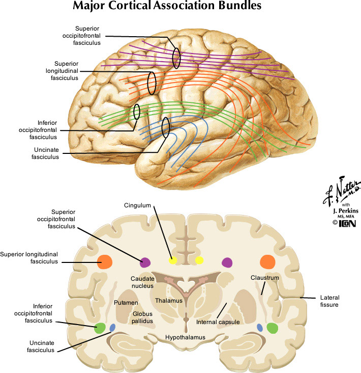 %_tempFileNameFigureII.95_l%