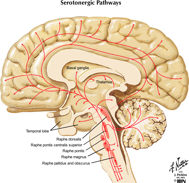 %_tempFileNameFigureII.97_l%