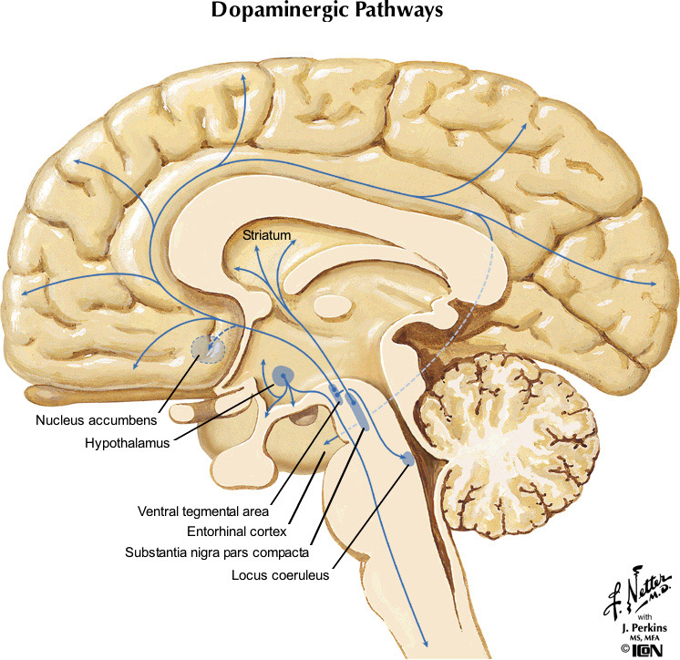 %_tempFileNameFigureII.98_l%