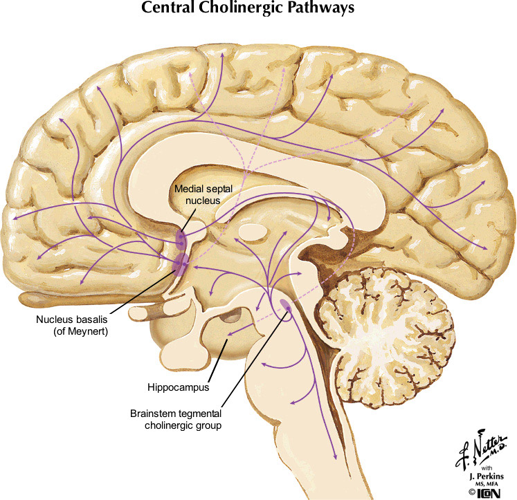 %_tempFileNameFigureII.99_l%