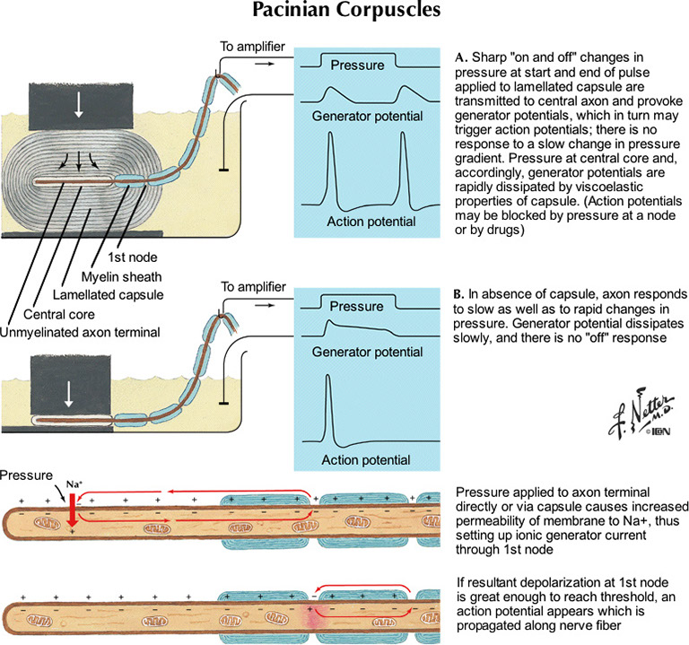 %_tempFileNameFigureII.9_l%