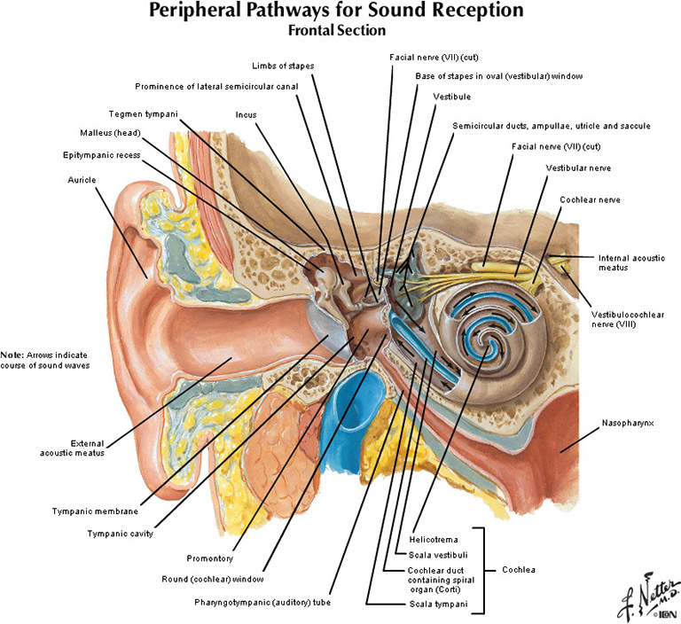 %_tempFileNameFigureIII.11_l%