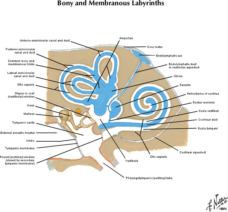 %_tempFileNameFigureIII.12_l%