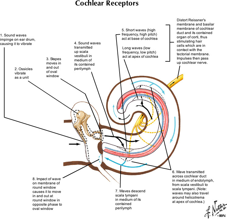 %_tempFileNameFigureIII.14_l%