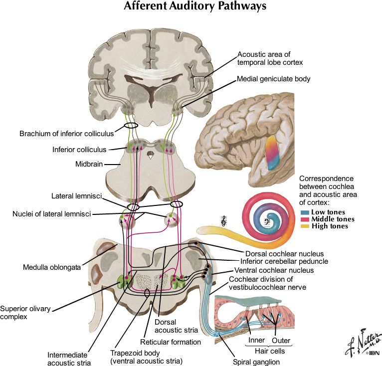 %_tempFileNameFigureIII.15_l%