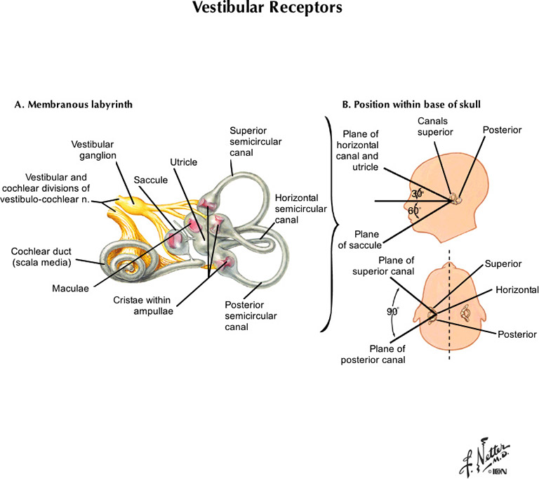 %_tempFileNameFigureIII.17A_l%