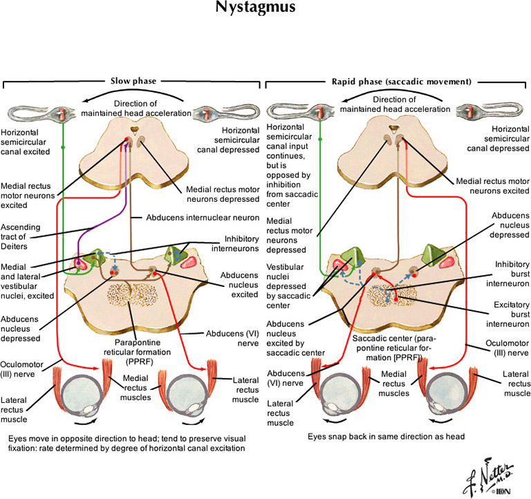 %_tempFileNameFigureIII.19_l%
