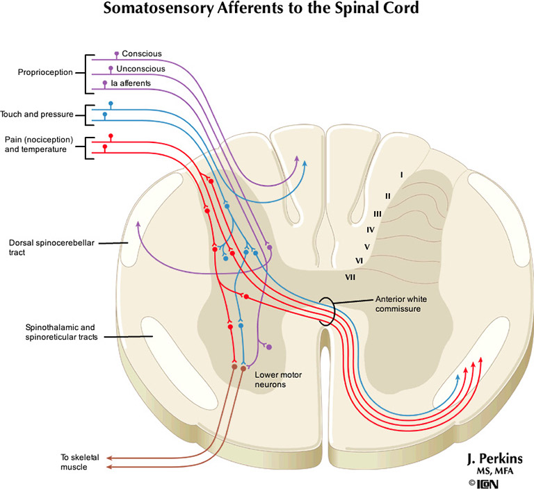 %_tempFileNameFigureIII.1_l%