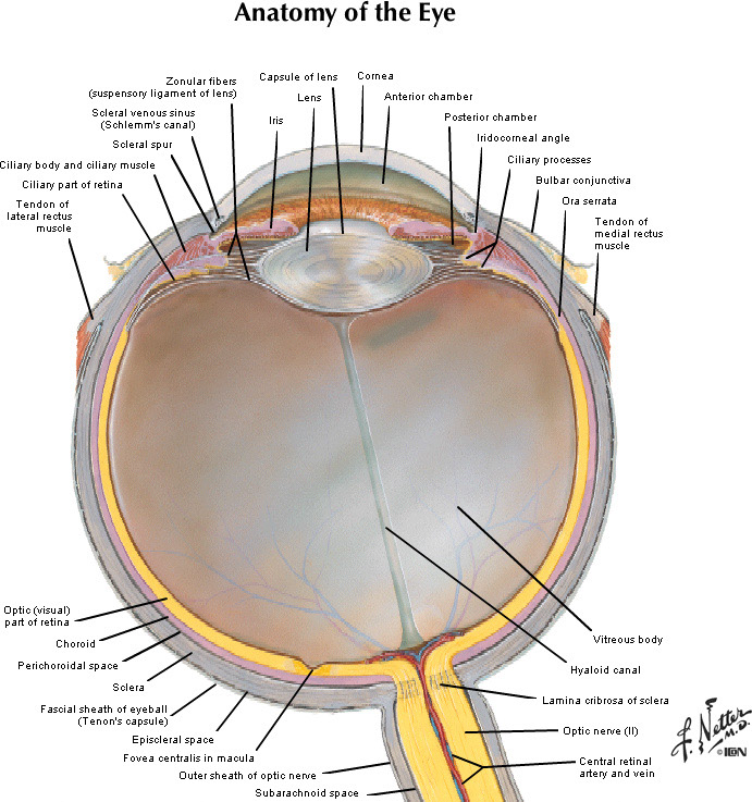 %_tempFileNameFigureIII.20_l%