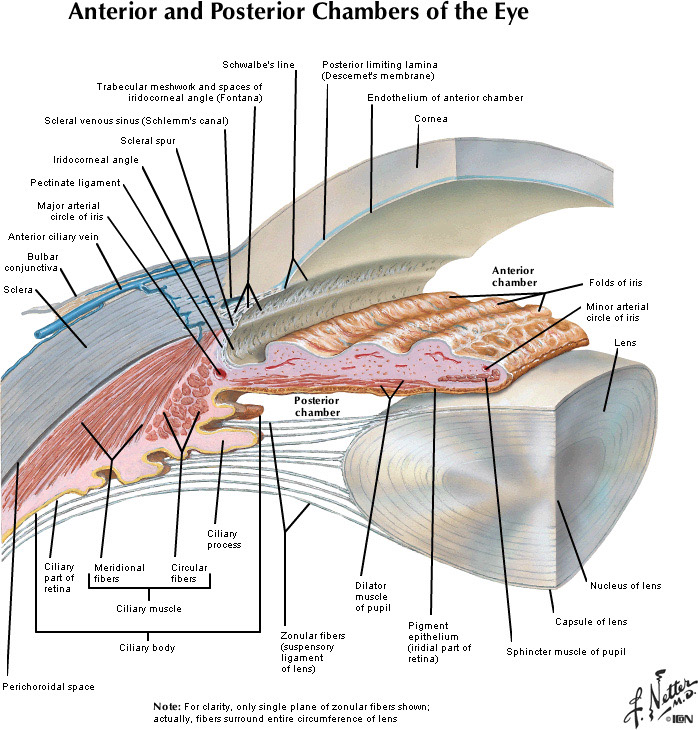 %_tempFileNameFigureIII.21_l%