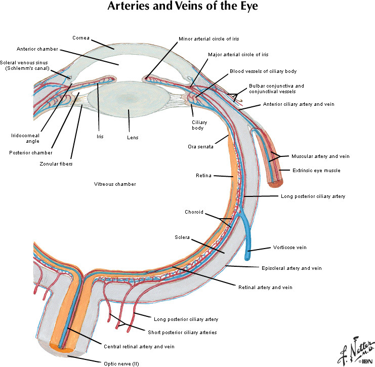 %_tempFileNameFigureIII.23A_l%