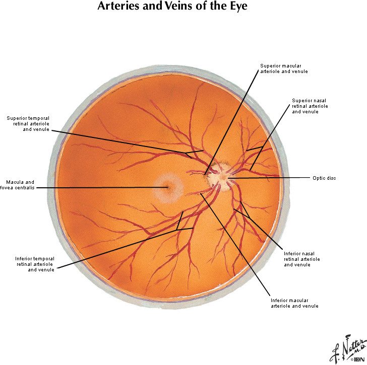 %_tempFileNameFigureIII.23B_l%