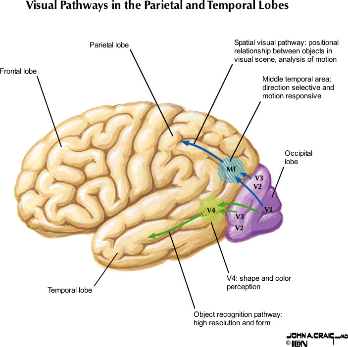 %_tempFileNameFigureIII.26_l%