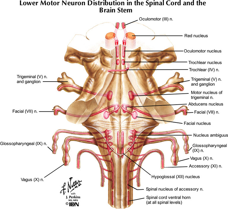 %_tempFileNameFigureIII.27_l%