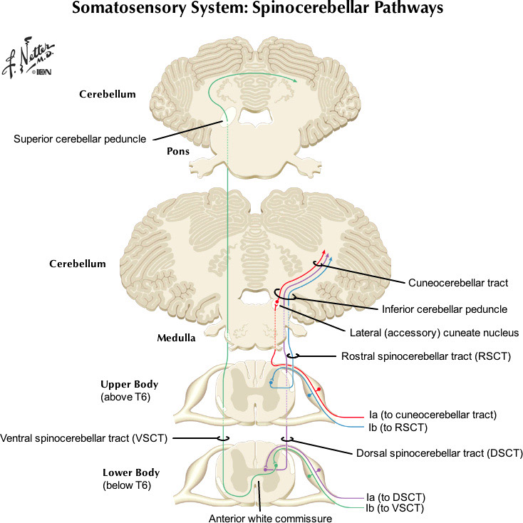 %_tempFileNameFigureIII.2_l%