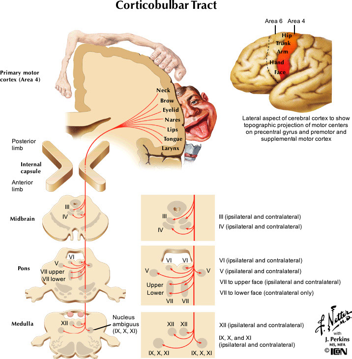 %_tempFileNameFigureIII.30_l%