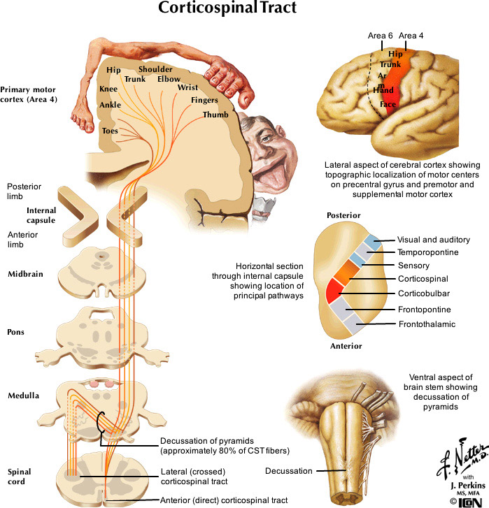 %_tempFileNameFigureIII.31_l%