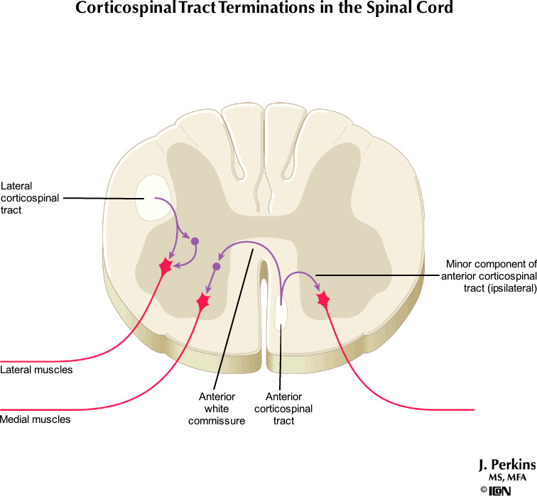 %_tempFileNameFigureIII.32_l%
