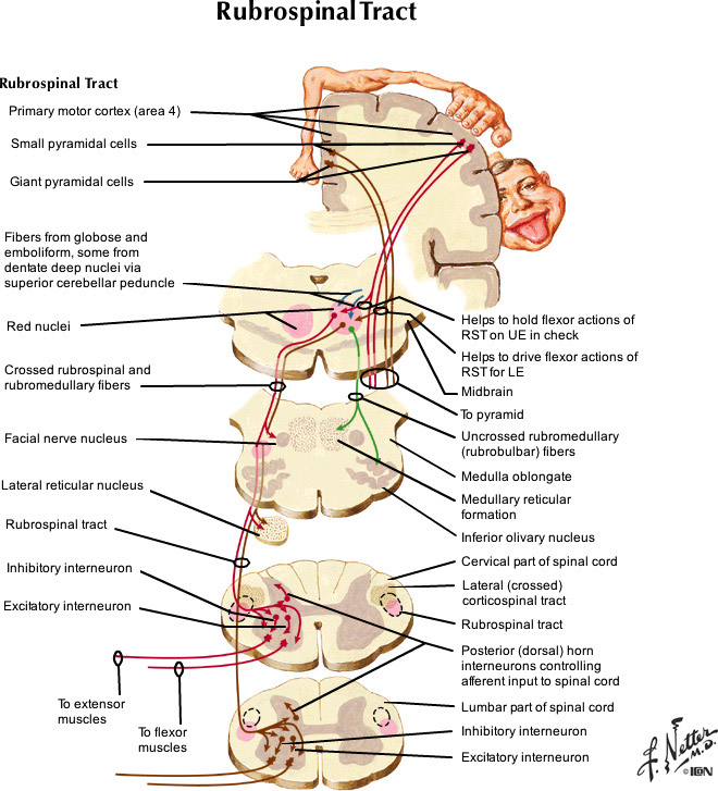 %_tempFileNameFigureIII.33_l%