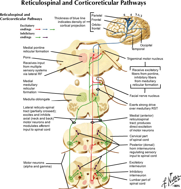 %_tempFileNameFigureIII.35_l%