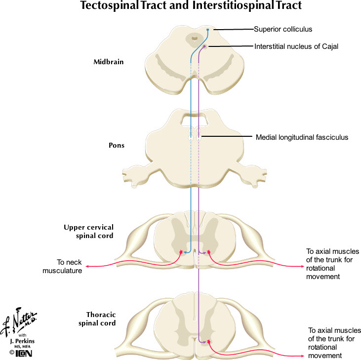 %_tempFileNameFigureIII.36_l%