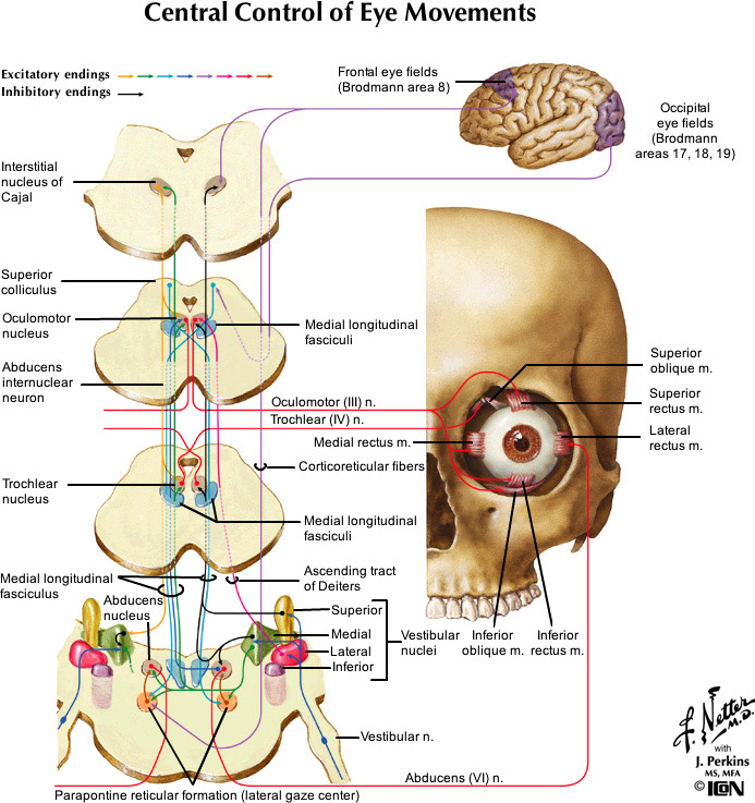 %_tempFileNameFigureIII.38_l%