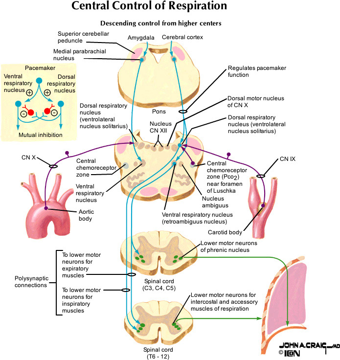 %_tempFileNameFigureIII.39_l%