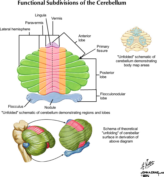 %_tempFileNameFigureIII.40_l%