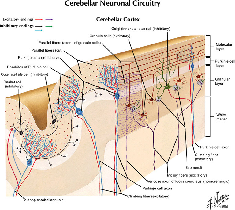 %_tempFileNameFigureIII.41_l%