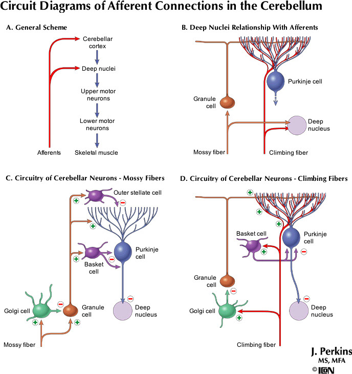 %_tempFileNameFigureIII.42_l%