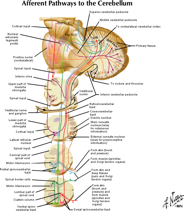 %_tempFileNameFigureIII.43_l%