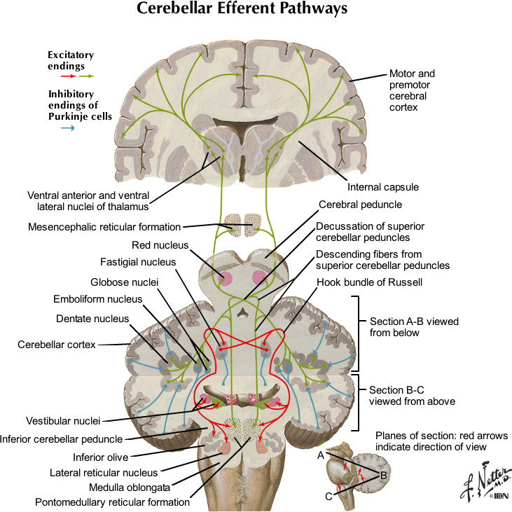 %_tempFileNameFigureIII.44_l%