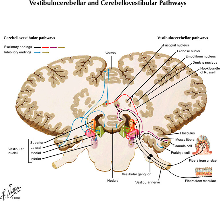 %_tempFileNameFigureIII.45_l%