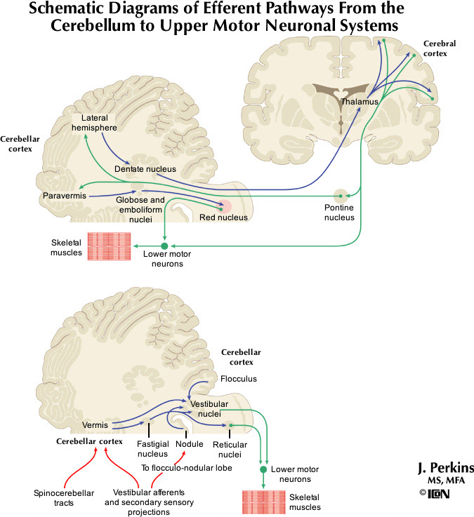 %_tempFileNameFigureIII.46_l%