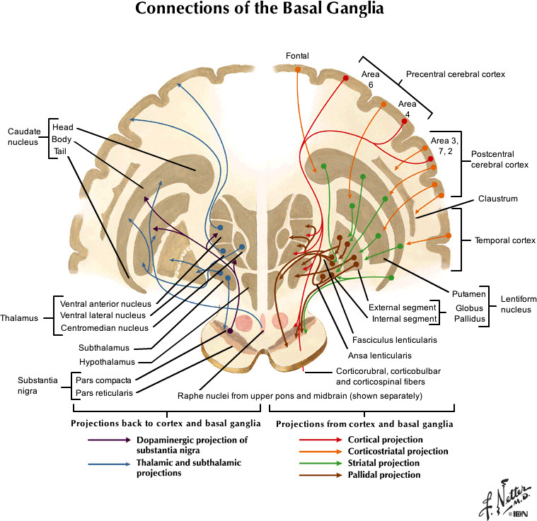 %_tempFileNameFigureIII.47_l%