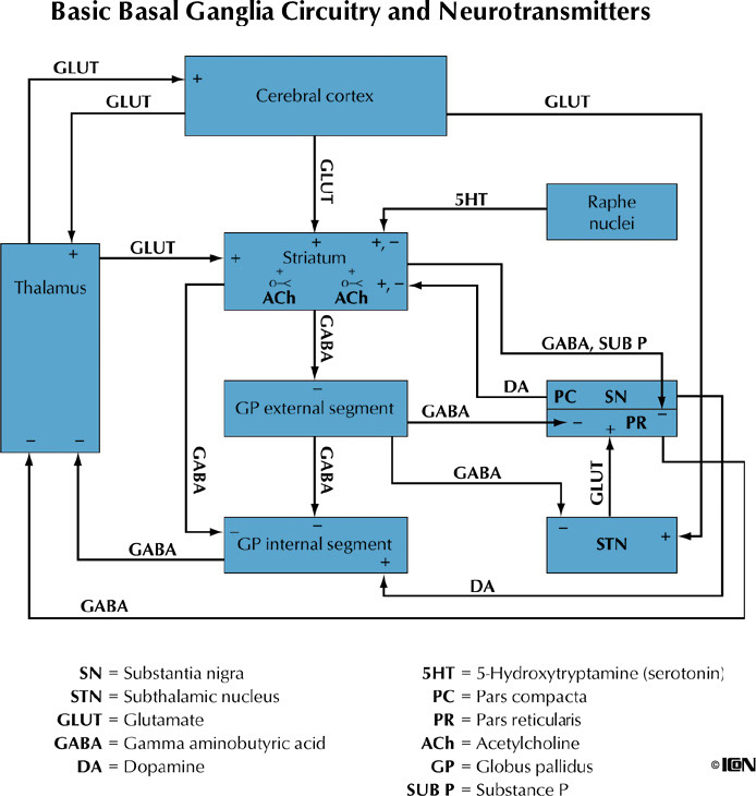 %_tempFileNameFigureIII.48_l%