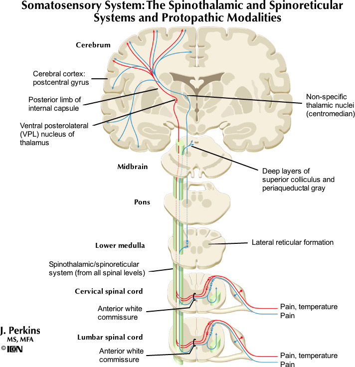 %_tempFileNameFigureIII.4_l%