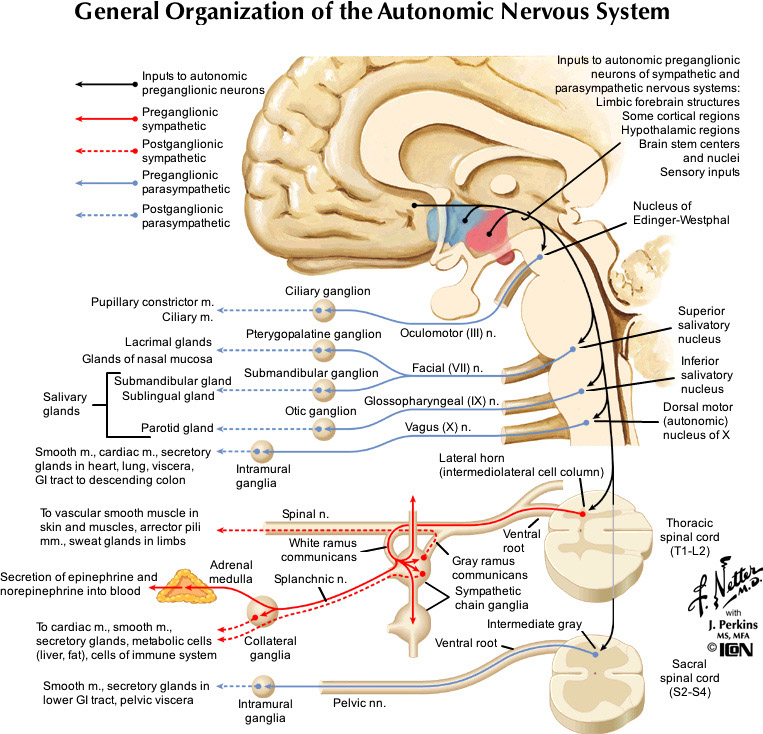 %_tempFileNameFigureIII.51_l%