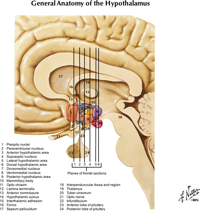 %_tempFileNameFigureIII.52_l%