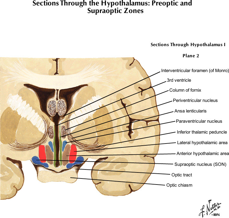 %_tempFileNameFigureIII.53B_l%