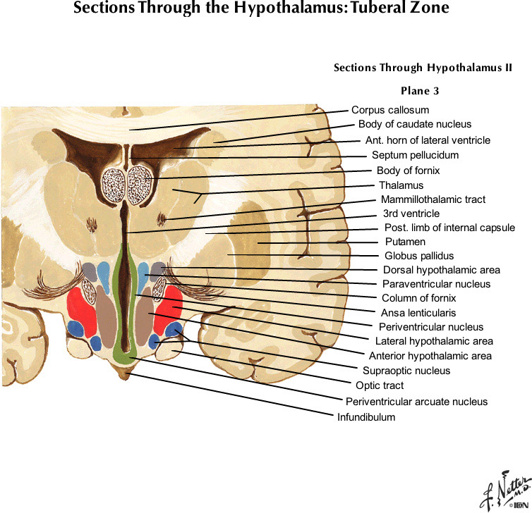 %_tempFileNameFigureIII.54A_l%