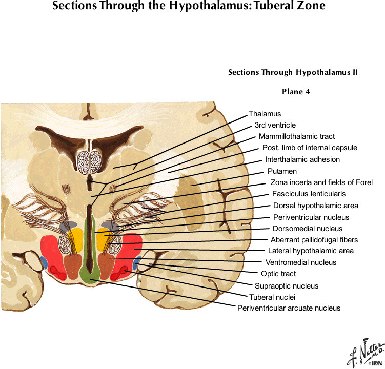 %_tempFileNameFigureIII.54B_l%