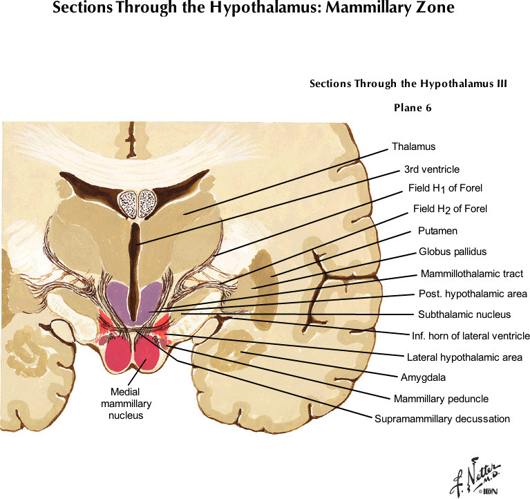 %_tempFileNameFigureIII.55B_l%