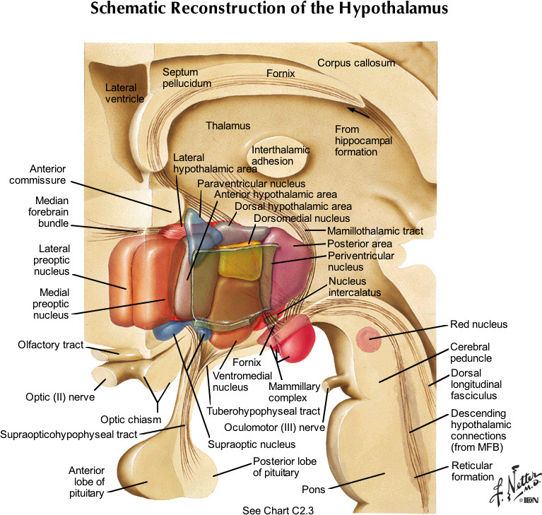 %_tempFileNameFigureIII.56_l%
