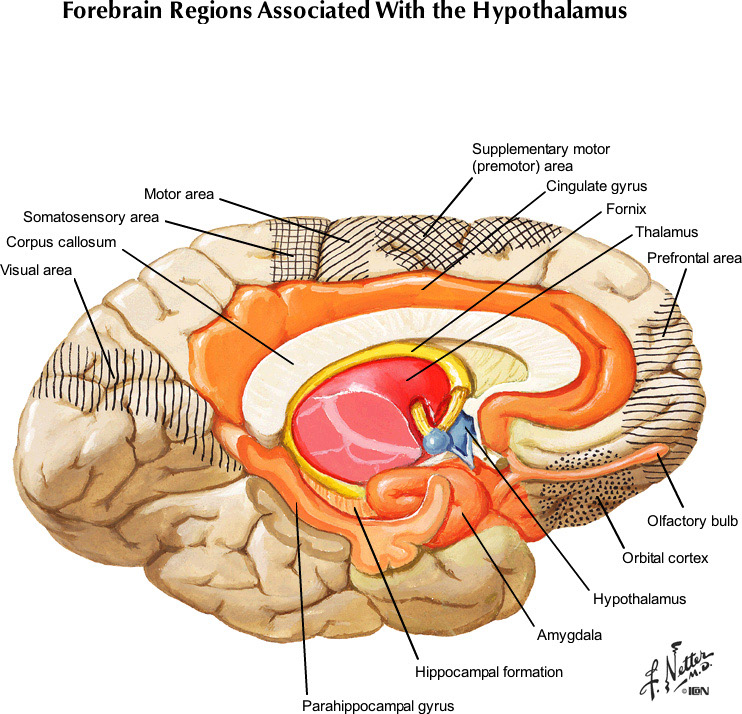 %_tempFileNameFigureIII.57_l%