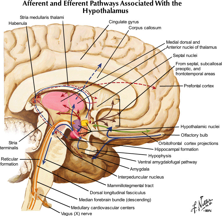 %_tempFileNameFigureIII.58_l%